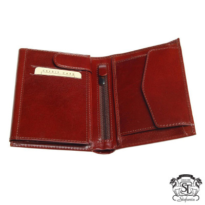 Портмоне мужское (Stefania)