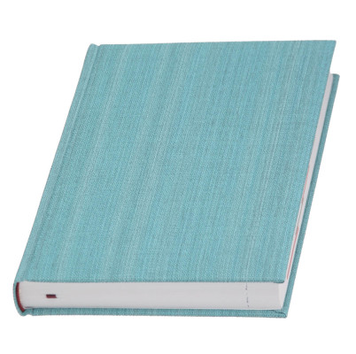 Щоденник 'Web' блакитний