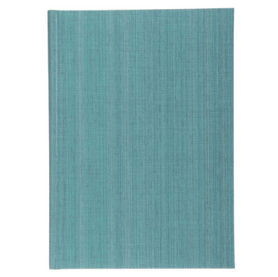 Щоденник 'Web' блакитний