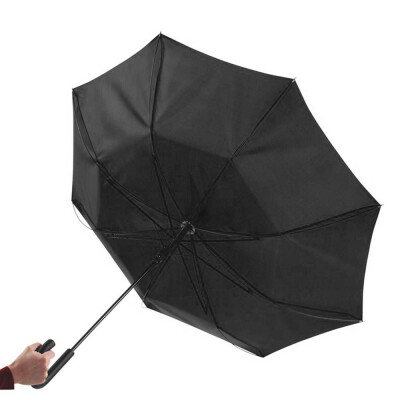 Зонт-трость 'Wind'