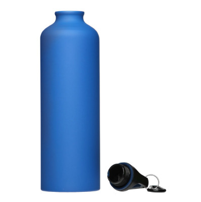 Металлическая бутылка с карабином, 750 мл