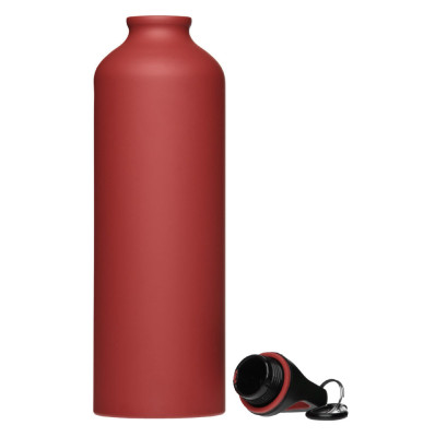 Металлическая бутылка с карабином, 750 мл