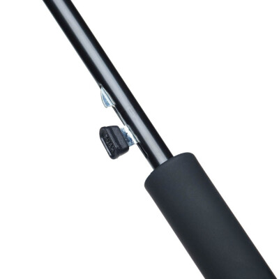 Парасолька-тростина 'Wind'