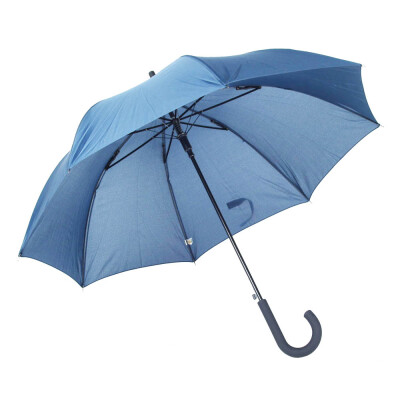 Парасолька-тростина 'Wind'