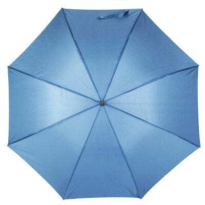 Парасолька-тростина 'Wind'