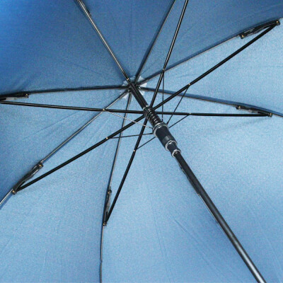 Парасолька-тростина 'Wind'