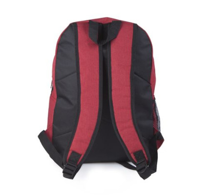 Рюкзак для путешествий Easy