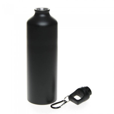 Металлическая бутылка с карабином, 750 мл