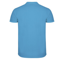 Поло Star 200, бренд Roly