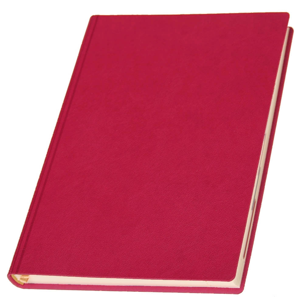 Датированный ежедневник в мягкой обложке 'Сантьяго NEW', А5