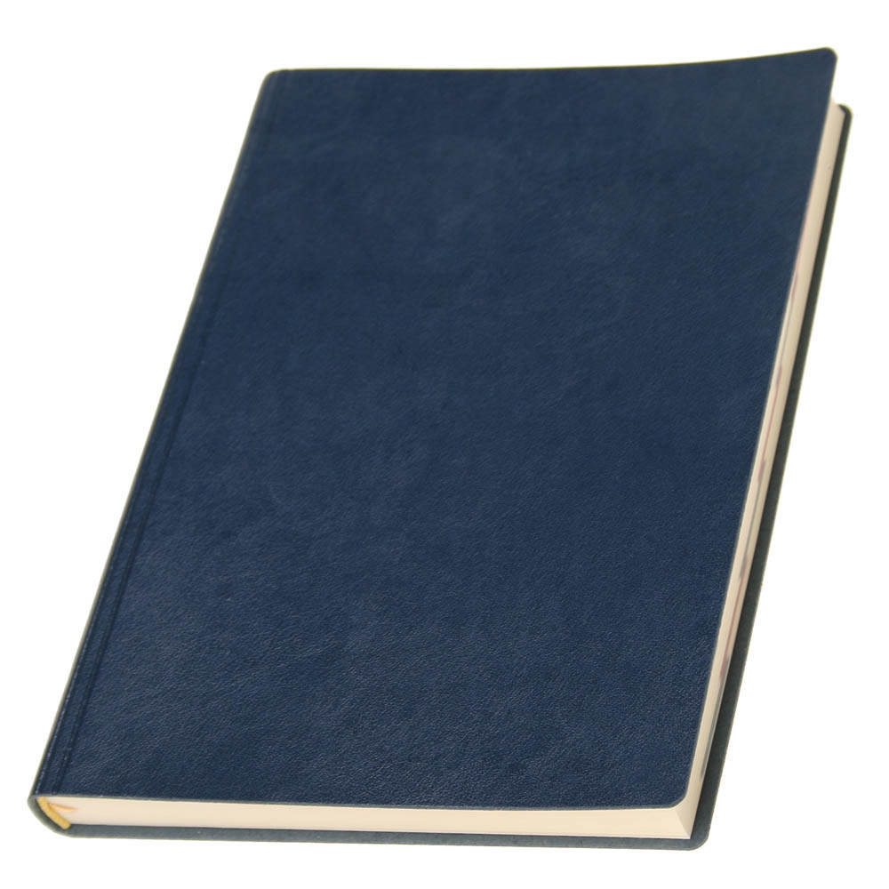 Датированный ежедневник в мягкой обложке 'Сантьяго NEW', А5