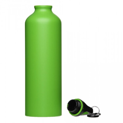Металлическая бутылка с карабином, 750 мл