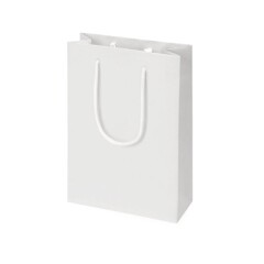 Пакет подарочный Draft