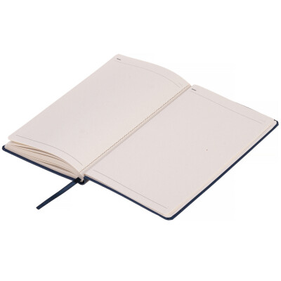 ЭКО записная книжка 'APPLE SKIN' А5 из кожуры яблок гибкая